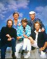 The Beach Boys